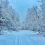 It-hutorok * Tur'ya Paseka