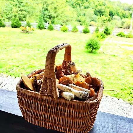 Country house It-hutorok Tur'ya Paseka