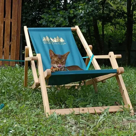 It-hutorok Gospodarstwo wiejskie Tur'ya Paseka