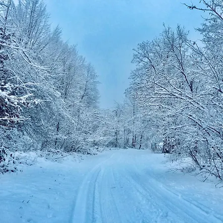 It-hutorok * Tur'ya Paseka